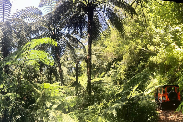 Madeira: Jeep 4x4 Old Forest Safari Tour with Pico Arieiro