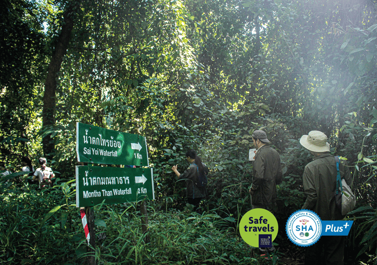 Trekking 2025 doi suthep