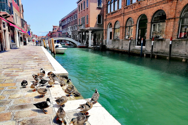 Murano: atelier de verrerie au chalumeau et visite à pied