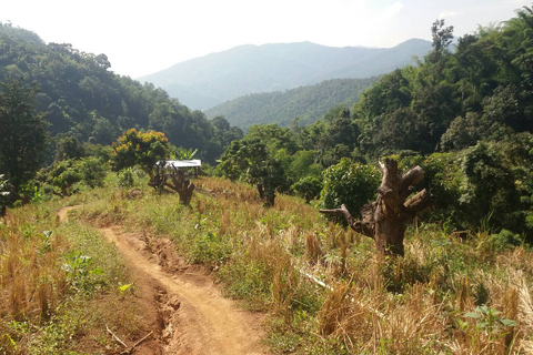 De Chiang Mai: Caminhada de um dia na alta montanhaDe Chiang Mai: Trilha de 1 Dia na Montanha