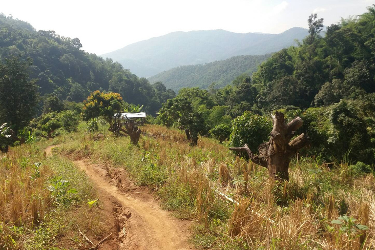 De Chiang Mai: Caminhada de um dia na alta montanhaDe Chiang Mai: Trilha de 1 Dia na Montanha