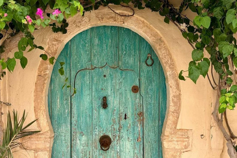 Djerba island: Pottery, jews Synagogue & Djerbahood Graffiti