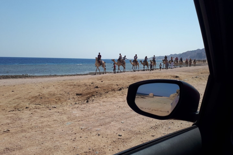 Van Sharm El Sheikh: volledige dag in Dahab met snorkelen
