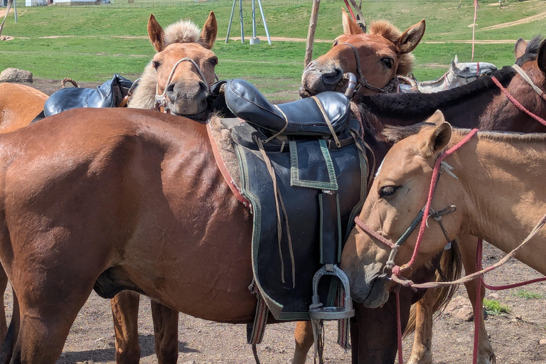 4-Day Authentic Nomadic Family Homestay near the Mini Gobi