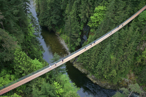 Depuis Vancouver : Pont suspendu de Capilano et Grouse MountainNorth Shore : départ à 11:00