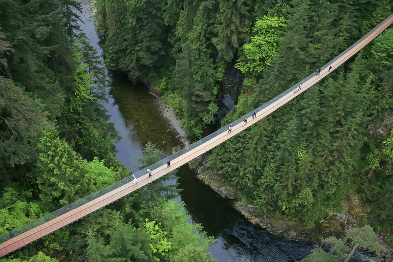 Depuis Vancouver : Pont suspendu de Capilano et Grouse MountainNorth Shore : départ à 11:00