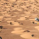 Tour espresso di 2 giorni nel Sahara da Tunisi, Hammamet e Susa