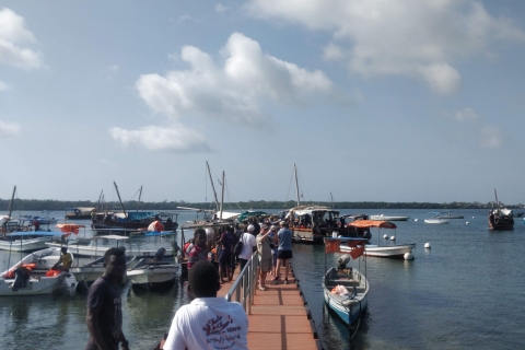 Dhow Tour en velero por el parque marino Kisite y la isla WasiniTour desde Kilifi