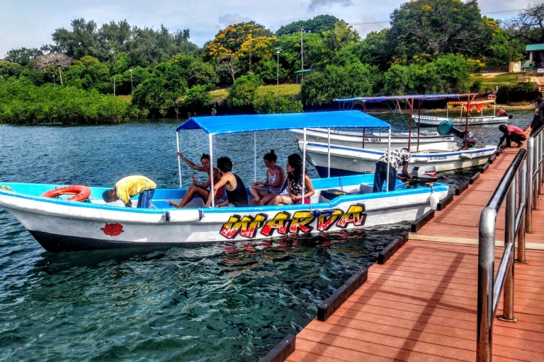 Dhow Tour en velero por el parque marino Kisite y la isla WasiniTour desde Kilifi