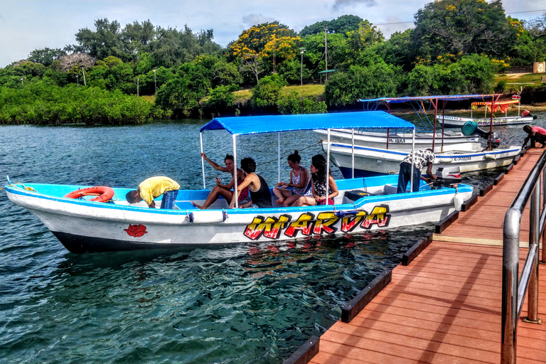 Dhow Tour en velero por el parque marino Kisite y la isla WasiniTour desde Kilifi