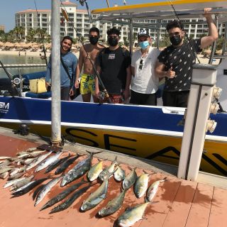 Dubai: visreis van een halve dag met gedeelde en privéopties