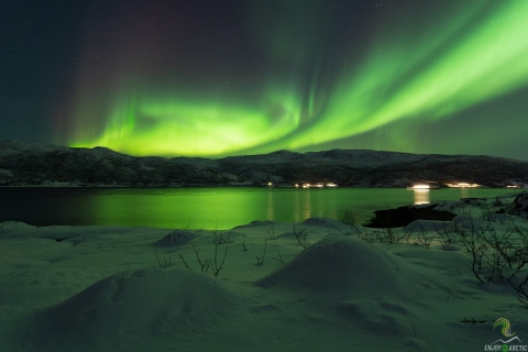 Tromsø: Northern Lights Day Trip with Campfire and Snacks