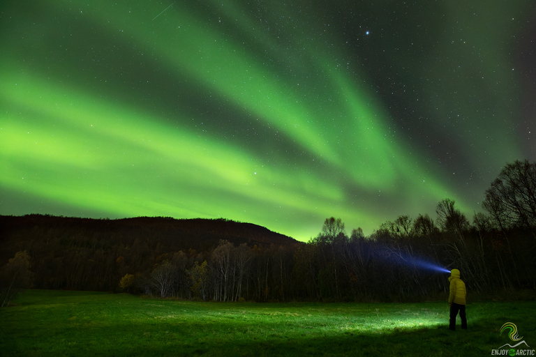 Tromsø: excursion d'une journée aux aurores boréales avec feu de camp et collations