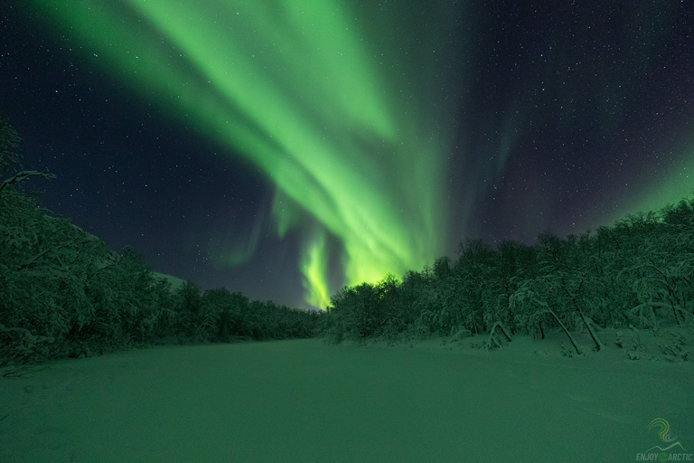 Tromsø: Nordljusutflykt med lägereld och snacksTromsö: Dagsutflykt till norrsken med lägereld och tårta