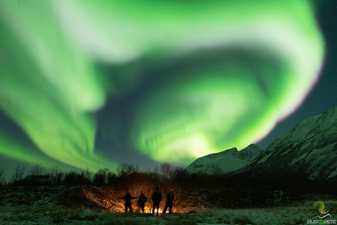 Tromsø: wycieczka na zorzę polarną z ogniskiem i przekąskami