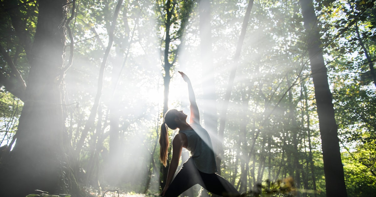 Newquay surf, yoga en boswildkamp GetYourGuide