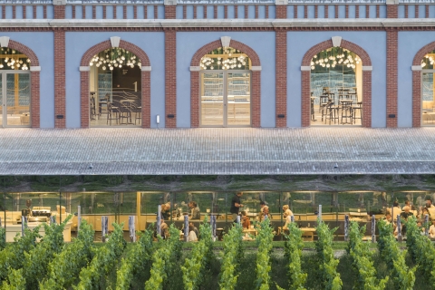 Aÿ-Champagne: Museo Pressoria Champagne con degustaciónEntrada familiar
