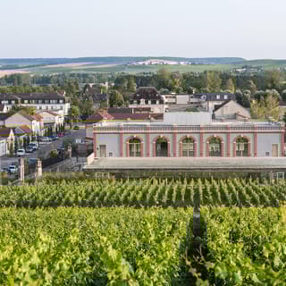 Aÿ-Champagne: Museo dello Champagne Pressoria con Degustazione