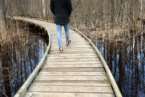 La Gema Oculta de Letonia: Caminata y Transporte por el Sendero Natural del Lago