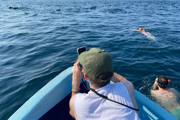 Puerto Escondido: Bootstour zu Delfinen und MeerestierenPrivate Tour