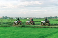 Siem Reap, Khmer Village and Crocodile Farm ATV Tour - Housity