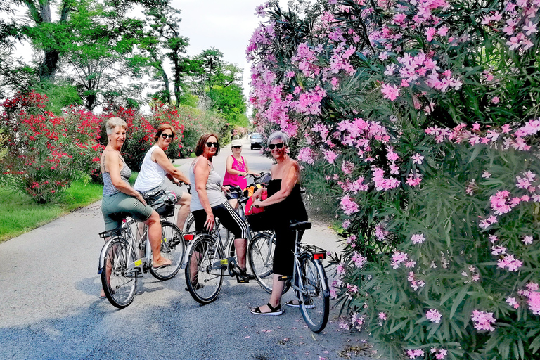 Venice Lido: Bike Tour with a Local on the Island of Cinema