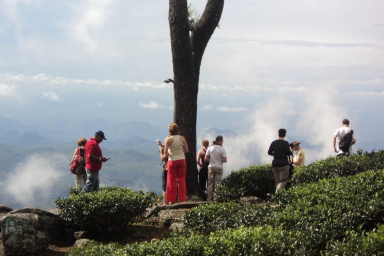Haputale: Tea Plantation, Safari, & Lipton's Seat Day Tour