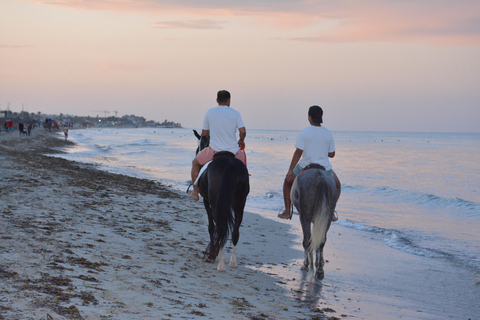 Disfruta de la Aventura durante 2,5 horas con Caballos y Camellos