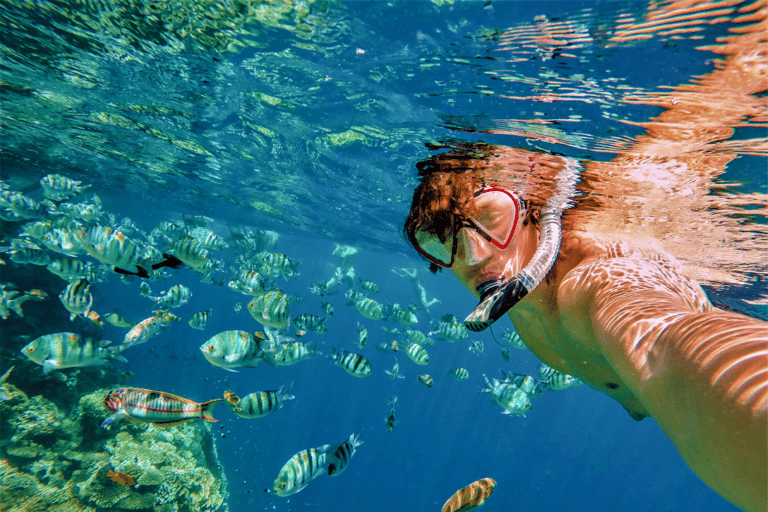 Catalina Island dagsutflykt + bra snorkling