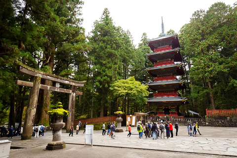 From Tokyo: Nikko Toshogu Shrine and Lake Chuzenji Day Trip Private Sightseeing Tours