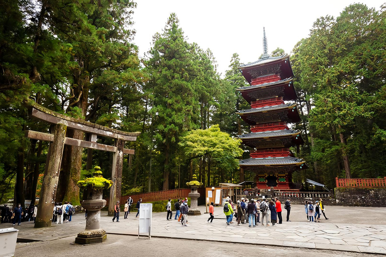 From Tokyo: Nikko Toshogu Shrine and Lake Chuzenji Day Trip Private Sightseeing Tours