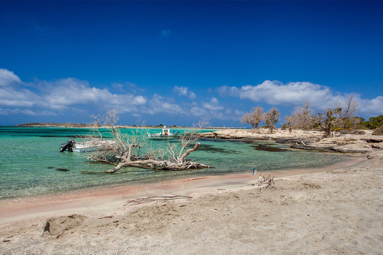 De La Canée: visite en SUV de la plage d'Elafonisi avec déjeuner