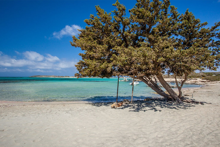 Chania: Elafonisi och Milia Mountain med solstolar och lunch