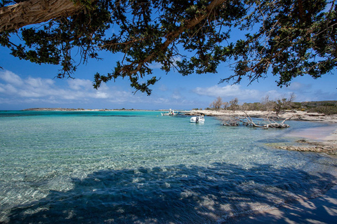 Chania: Elafonisi and Milia Mountain with Loungers and Lunch