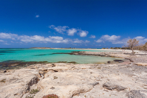 Chania: Elafonisi och Milia Mountain med solstolar och lunch