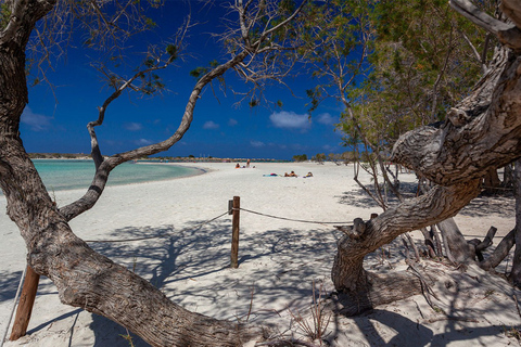 Von Chania: Elafonisi Strand-SUV-Tour mit MittagessenAb Chania: Elafonisi Strand-SUV-Tour mit Mittagessen