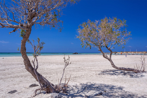 Von Chania: Elafonisi Strand-SUV-Tour mit MittagessenAb Chania: Elafonisi Strand-SUV-Tour mit Mittagessen