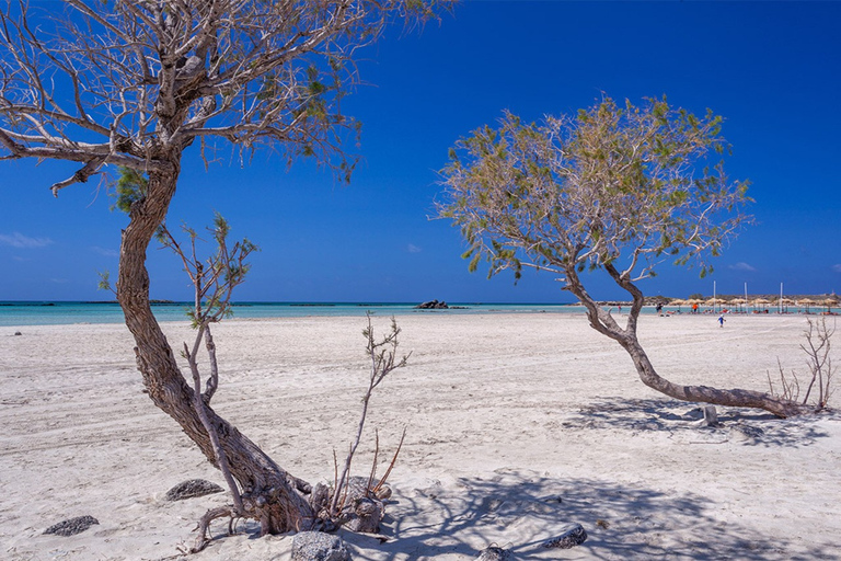 De La Canée: visite en SUV de la plage d'Elafonisi avec déjeuner