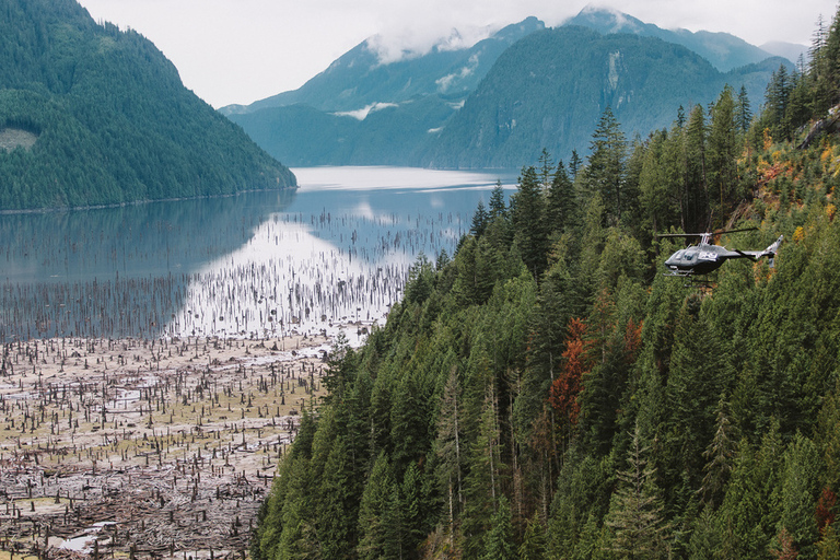 Vancouver: Tour in elicottero del BC BackcountryTour in elicottero di 30 minuti nel Backcountry della BC