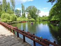 Da Tirana, Pogradec, Drilon e Tushemisht Day Tour - Hizvo