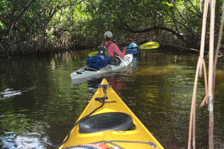 Cayos de Florida: recorrido ecológico en kayak por Key West con guía de la naturaleza