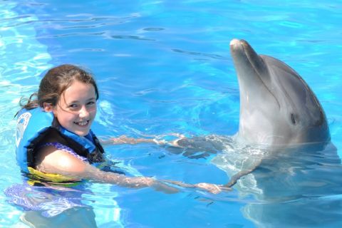Cancún: Spotkanie z delfinami na Isla Mujeres z bufetem
