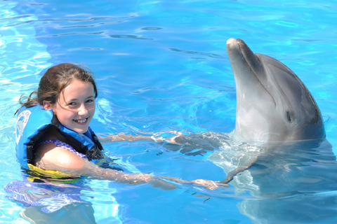 Cancún: Encuentro con Delfines en Isla Mujeres con Buffet