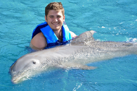 Cancún: Dolphin Encounter on Isla Mujeres with Buffet