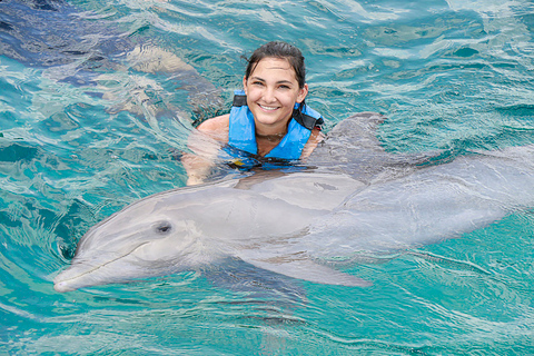 Cancún: Dolphin Encounter on Isla Mujeres with Buffet