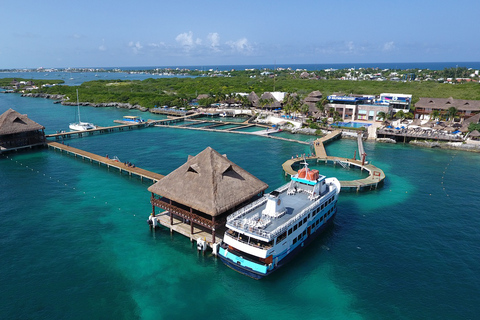 Cancún: Encuentro con Delfines en Isla Mujeres con Buffet