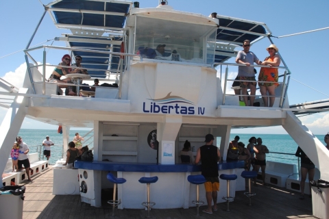 Búzios: Catamaran-boottocht