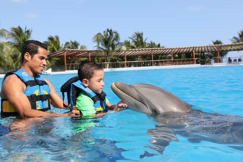 Riviera Maya: Encuentro con delfines con acceso al Club de Playa |  GetYourGuide