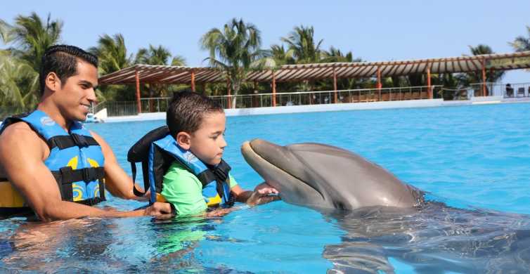 Riviera Maya: Dolphin Encounter with Beach Club Access | GetYourGuide