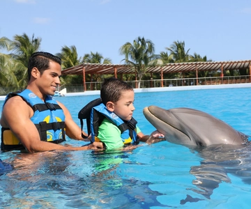 Riviera Maya: ontmoeting met dolfijnen met toegang tot de strandclub